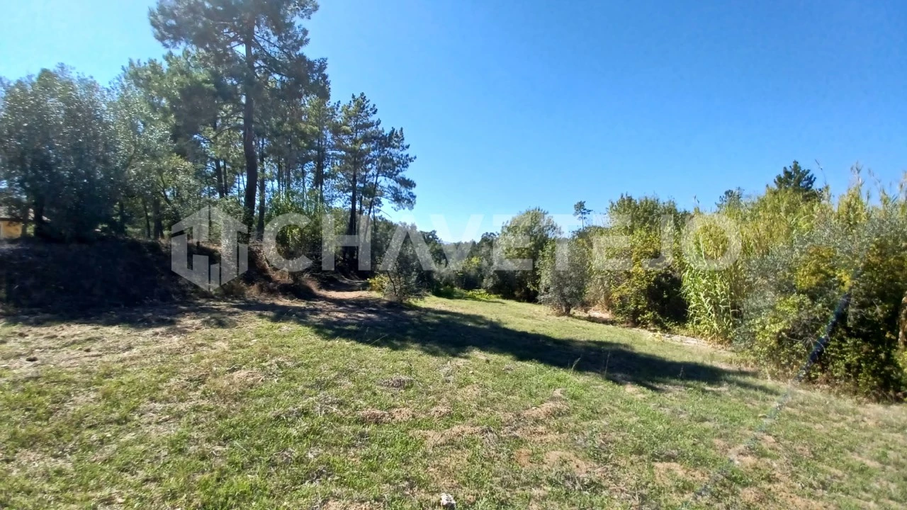 Terreno para Venda em São Pedro de Tomar Foto 5