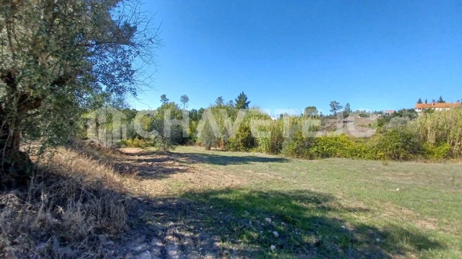 Terreno para Venda em São Pedro de Tomar Foto 2