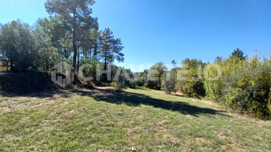 Terreno para Venda em São Pedro de Tomar Foto 5