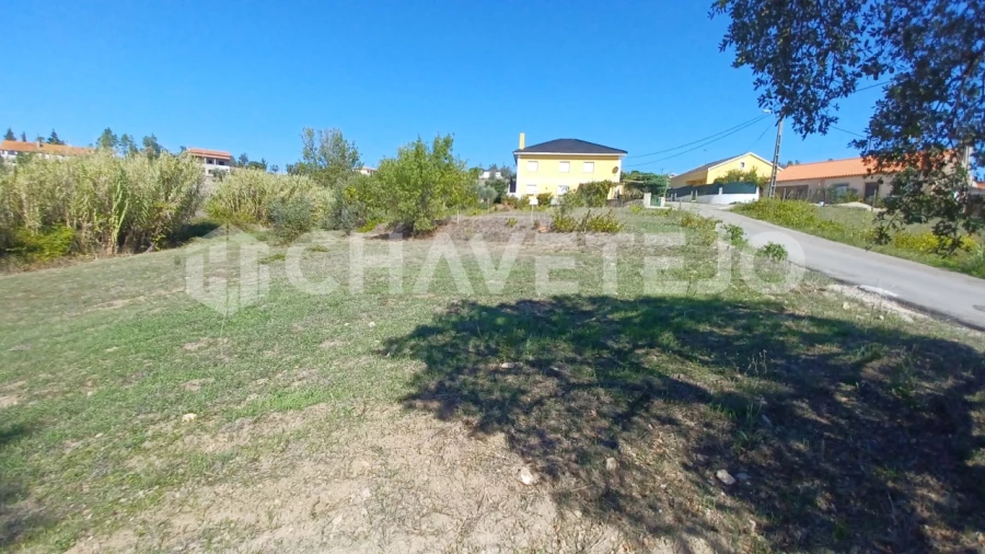 Terreno para Venda em São Pedro de Tomar Foto 6