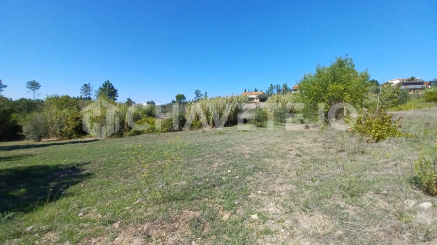 Terreno para Venda em São Pedro de Tomar Foto 7
