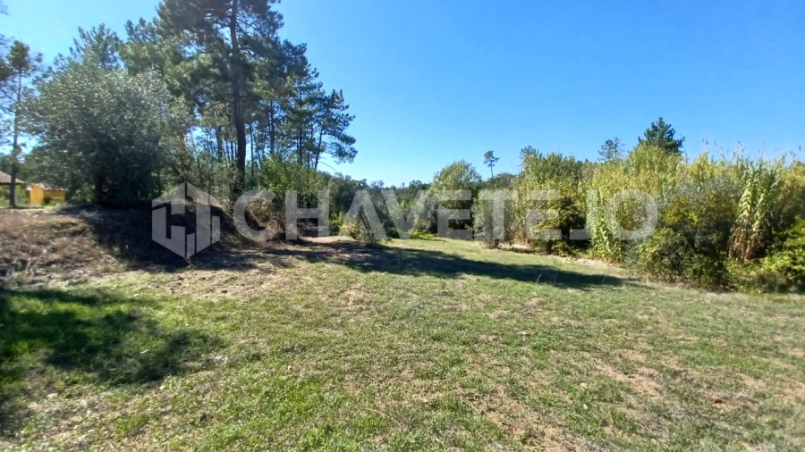 Terreno para Venda em São Pedro de Tomar Foto 8