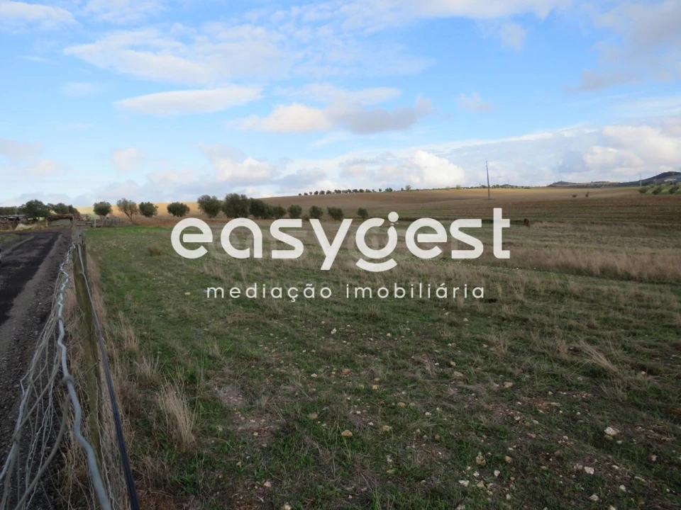 Terreno Agricola ou Rústico para Venda em Aljustrel e Rio de Moinhos Foto 8
