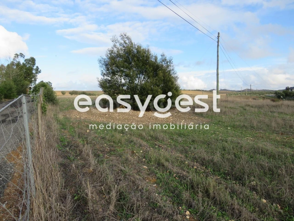 Terreno Agricola ou Rústico para Venda em Aljustrel e Rio de Moinhos Foto 11