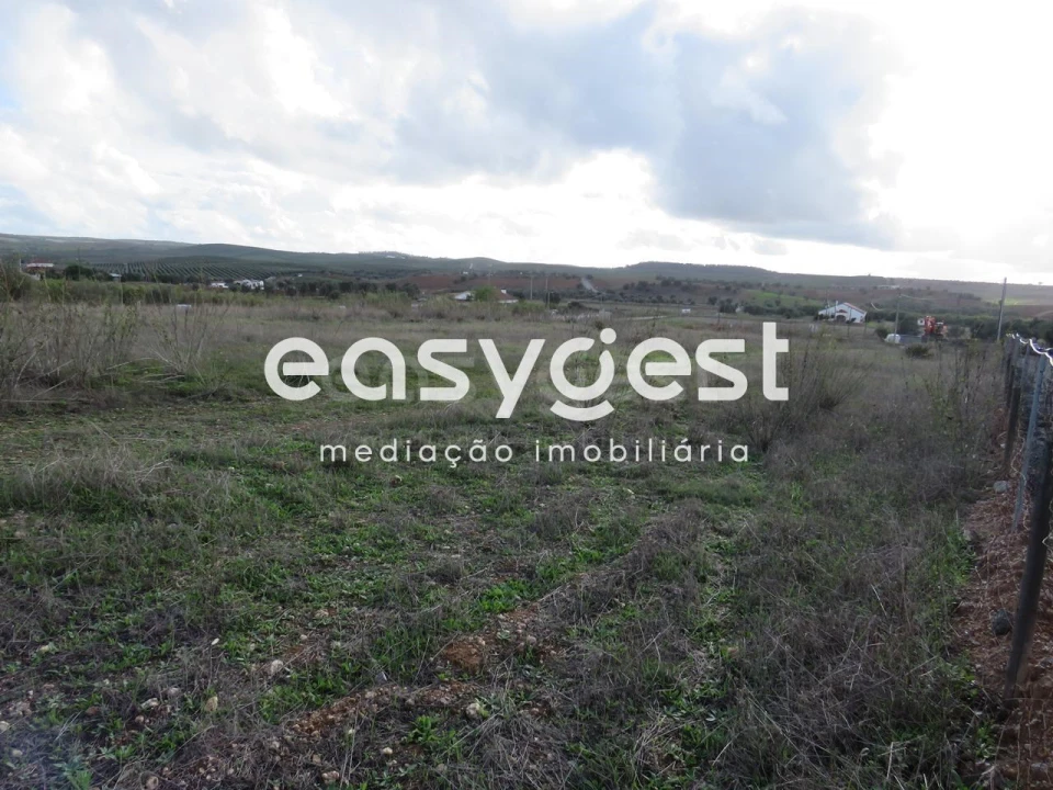 Terreno Agricola ou Rústico para Venda em Aljustrel e Rio de Moinhos Foto 12