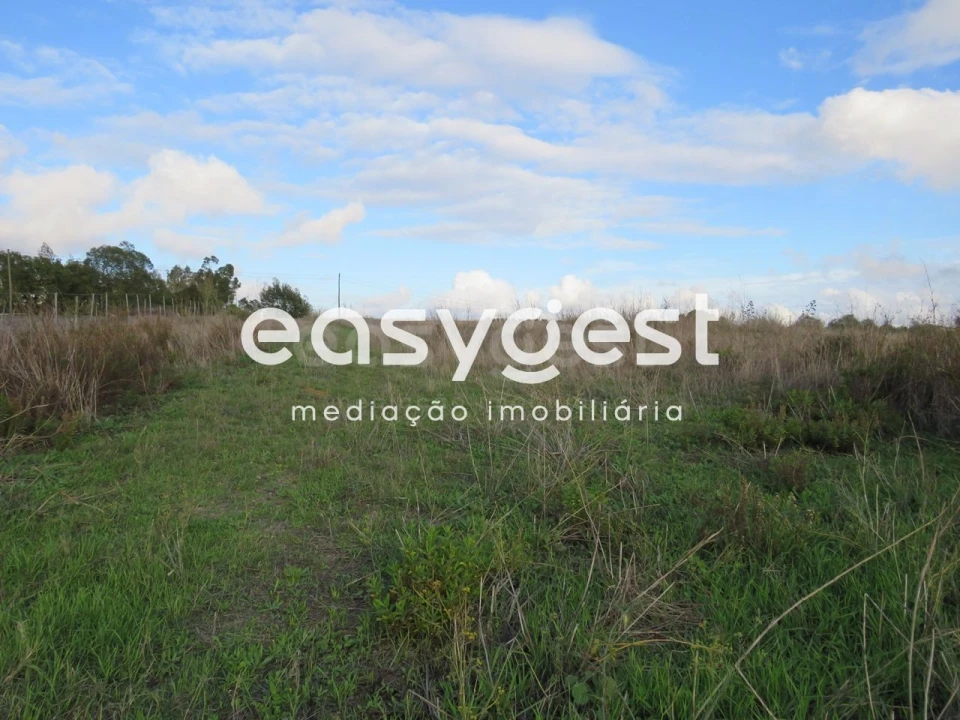 Terreno Agricola ou Rústico para Venda em Aljustrel e Rio de Moinhos Foto 13