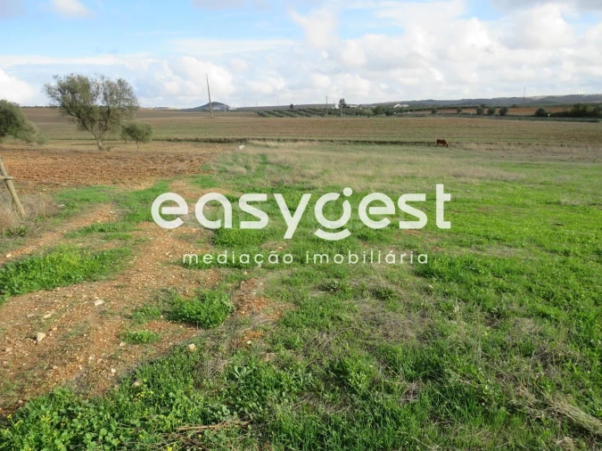 Terreno Agricola ou Rústico para Venda em Aljustrel e Rio de Moinhos Foto 5