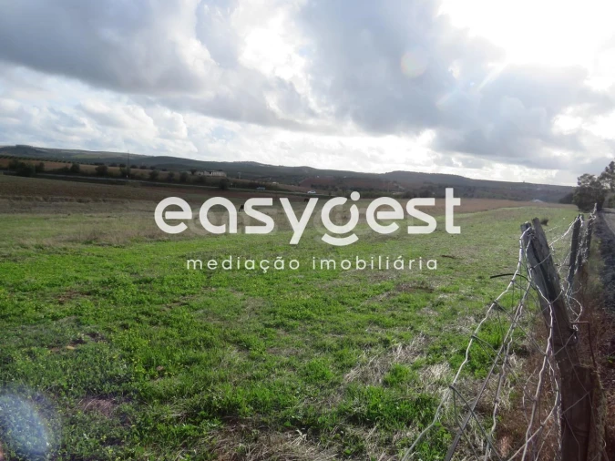 Terreno Agricola ou Rústico para Venda em Aljustrel e Rio de Moinhos Foto 6