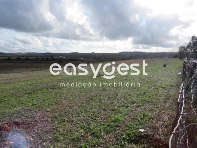 Terreno Agricola ou Rústico para Venda em Aljustrel e Rio de Moinhos Foto 7