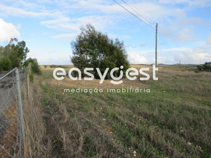 Terreno Agricola ou Rústico para Venda em Aljustrel e Rio de Moinhos Foto 11