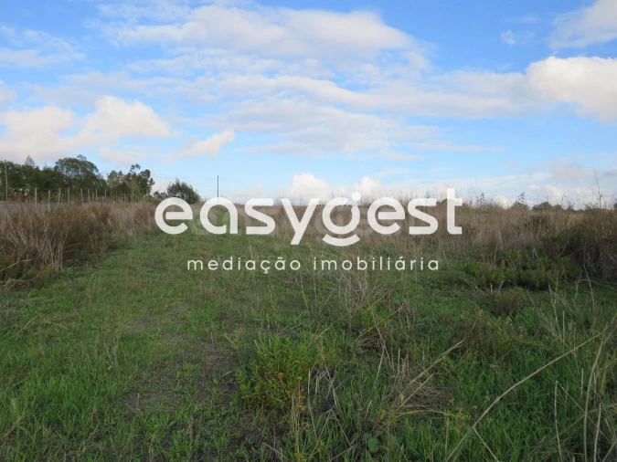 Terreno Agricola ou Rústico para Venda em Aljustrel e Rio de Moinhos Foto 13