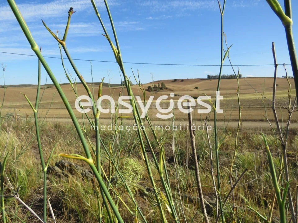 Quinta T2 para Venda em Entradas Foto 9