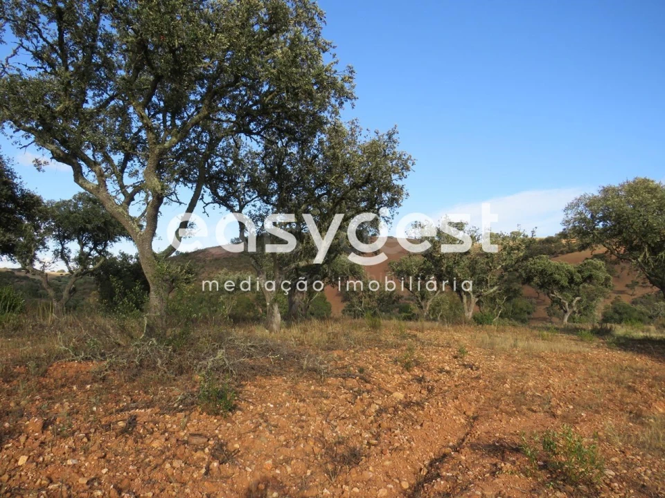 Quinta T2 para Venda em Entradas Foto 19