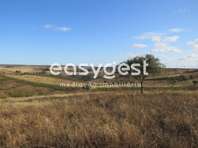 Quinta T2 para Venda em Entradas Foto 14