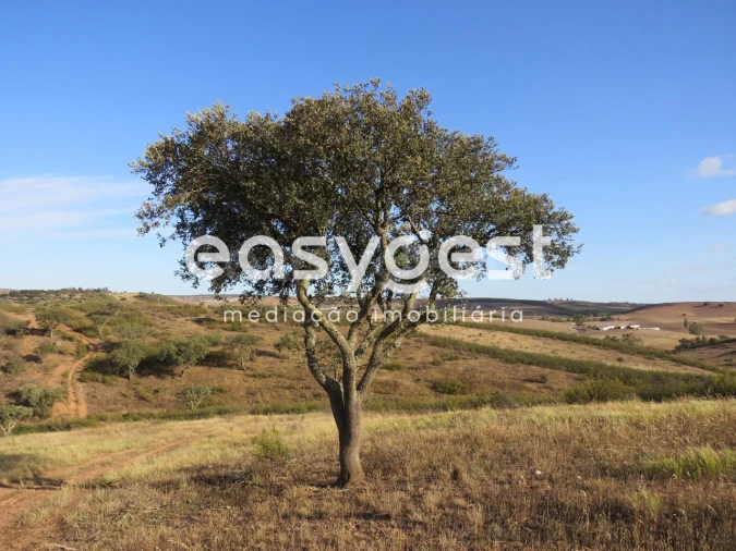 Quinta T2 para Venda em Entradas Foto 17