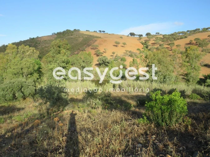 Quinta T2 para Venda em Entradas Foto 20