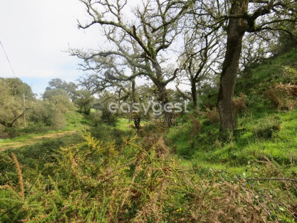 Quinta T10 para Venda em São Luis Foto 4