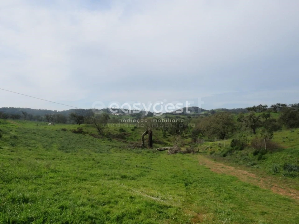 Quinta T10 para Venda em São Luis Foto 5