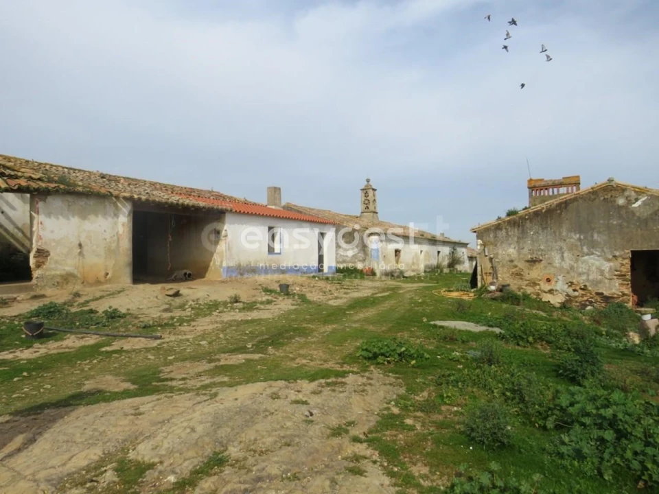 Quinta T10 para Venda em São Luis Foto 7
