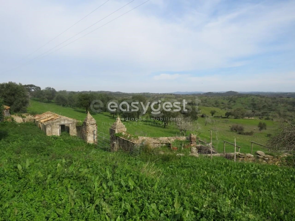 Quinta T10 para Venda em São Luis Foto 11