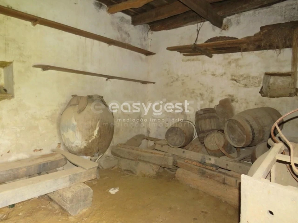 Quinta T10 para Venda em São Luis Foto 15