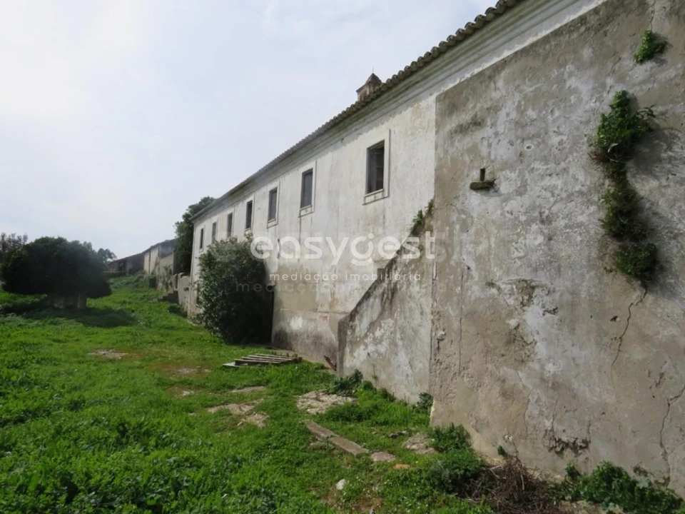 Quinta T10 para Venda em São Luis Foto 16