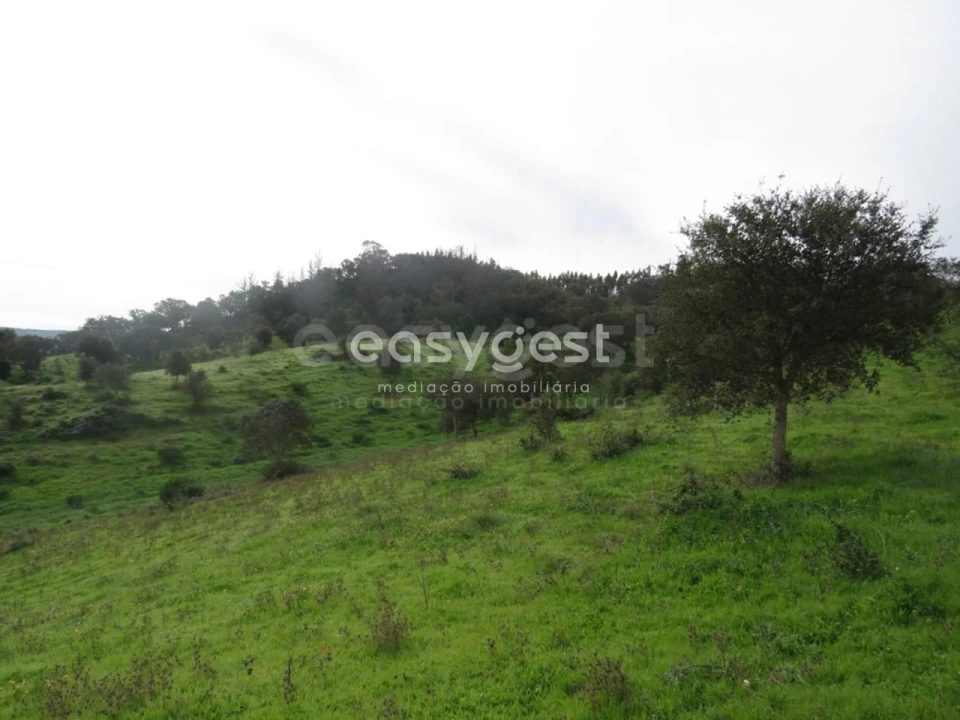 Quinta T10 para Venda em São Luis Foto 26