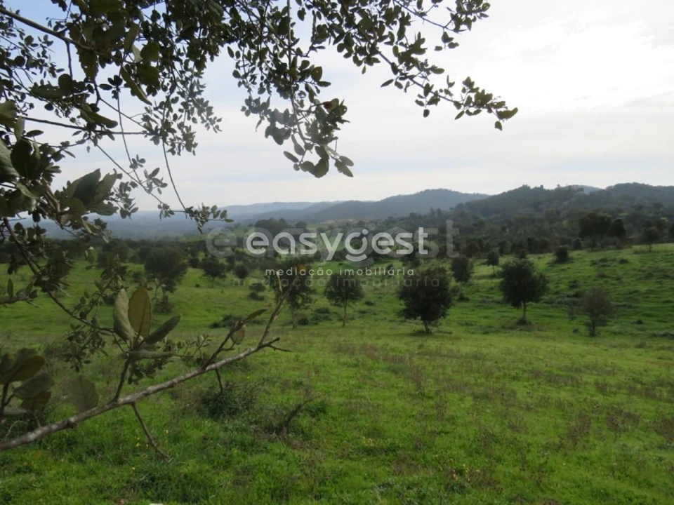 Quinta T10 para Venda em São Luis Foto 28