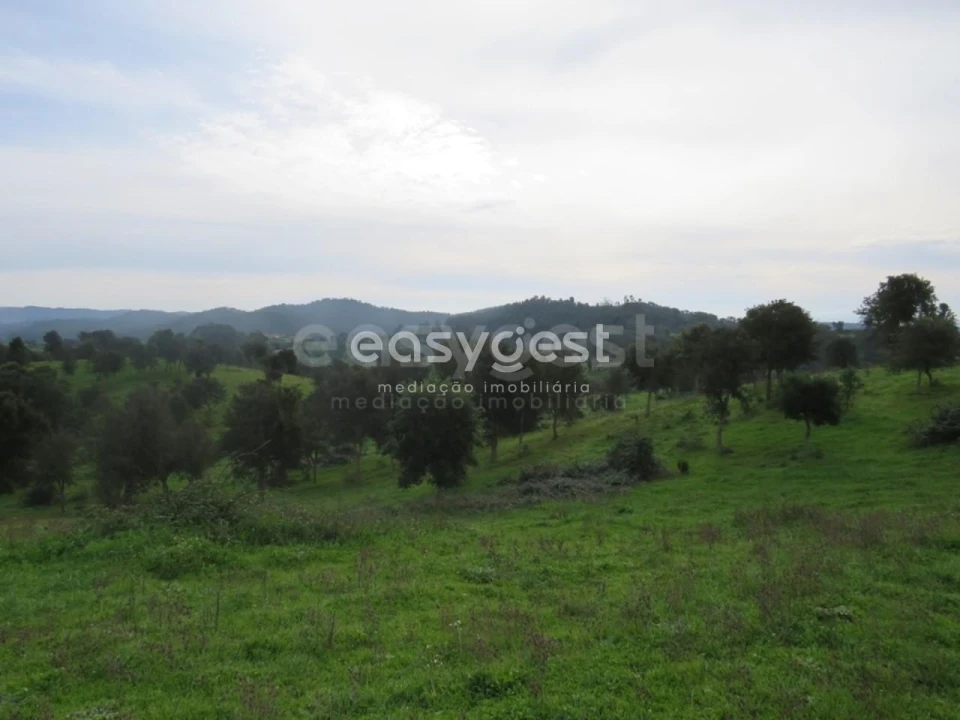 Quinta T10 para Venda em São Luis Foto 30