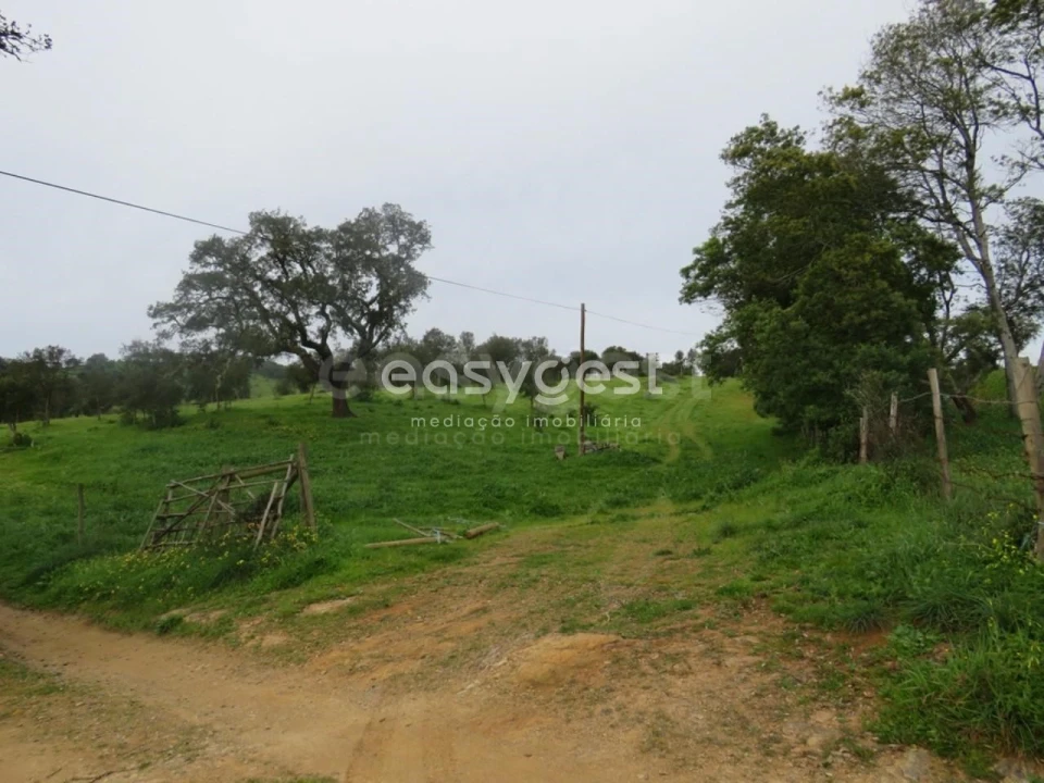 Quinta T10 para Venda em São Luis Foto 34
