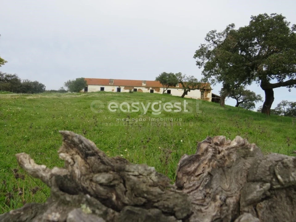 Quinta T10 para Venda em São Luis Foto 35