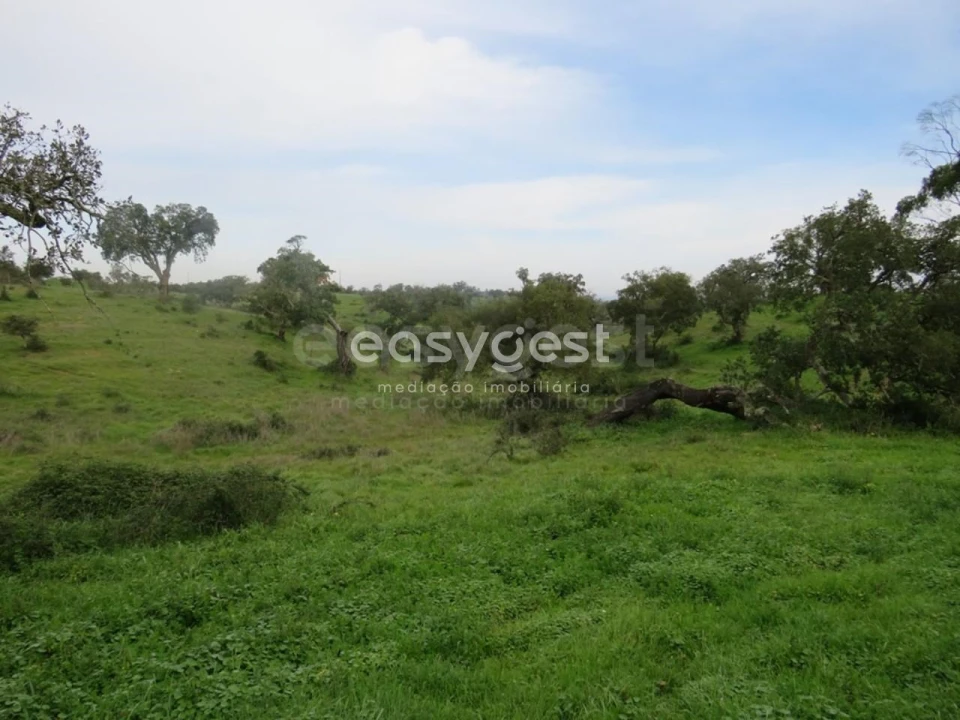 Quinta T10 para Venda em São Luis Foto 38
