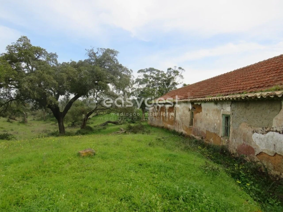 Quinta T10 para Venda em São Luis Foto 39