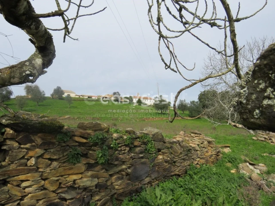 Quinta T10 para Venda em São Luis Foto 43