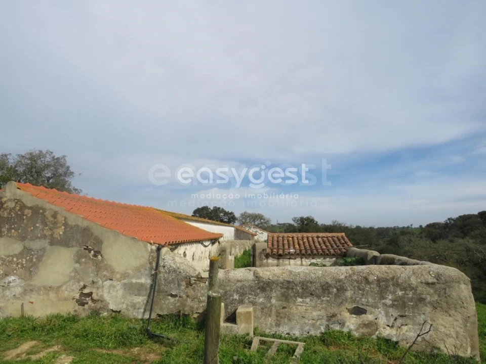 Quinta T10 para Venda em São Luis Foto 48
