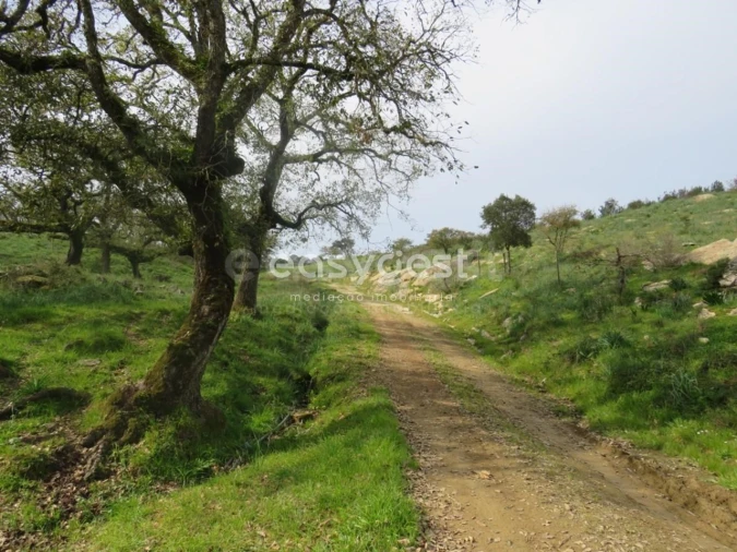 Quinta T10 para Venda em São Luis Foto 3