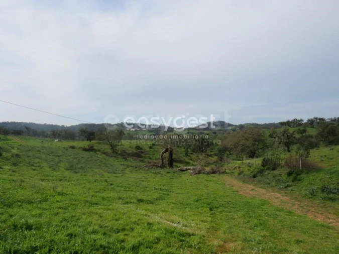 Quinta T10 para Venda em São Luis Foto 5