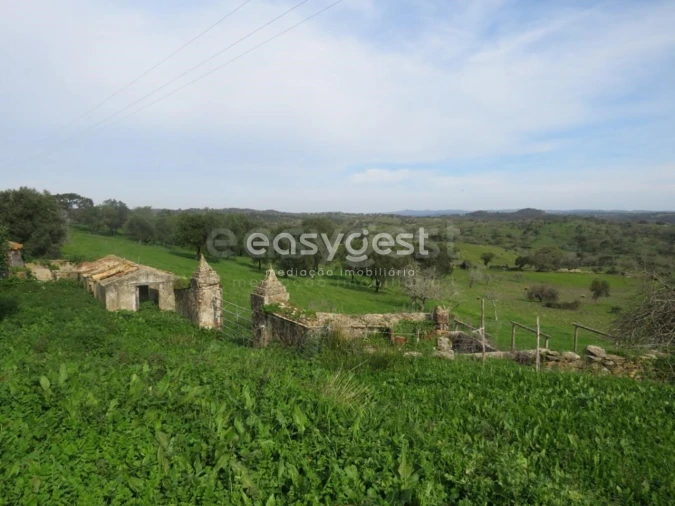 Quinta T10 para Venda em São Luis Foto 11