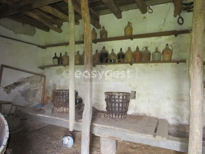 Quinta T10 para Venda em São Luis Foto 14