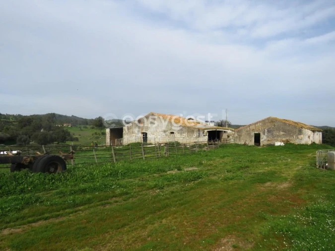 Quinta T10 para Venda em São Luis Foto 22