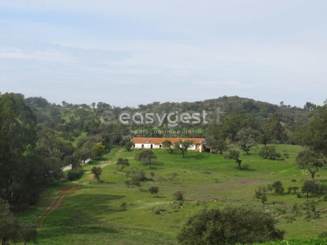 Quinta T10 para Venda em São Luis Foto 24