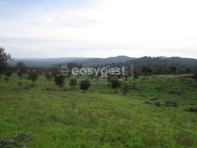 Quinta T10 para Venda em São Luis Foto 25