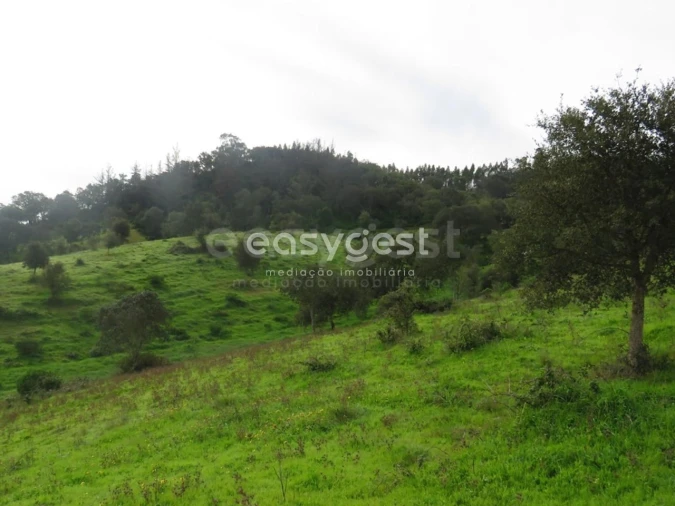 Quinta T10 para Venda em São Luis Foto 27