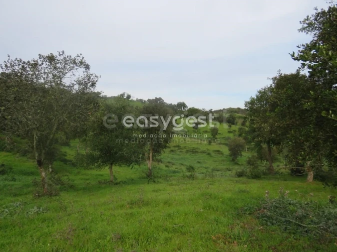 Quinta T10 para Venda em São Luis Foto 29