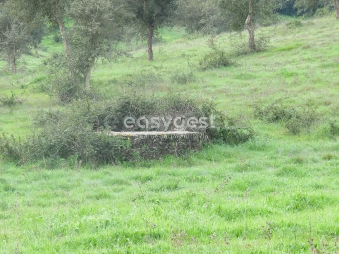 Quinta T10 para Venda em São Luis Foto 31