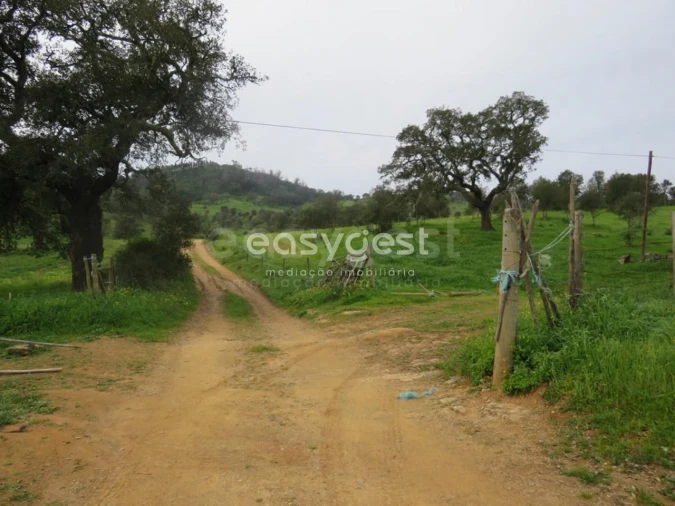 Quinta T10 para Venda em São Luis Foto 32