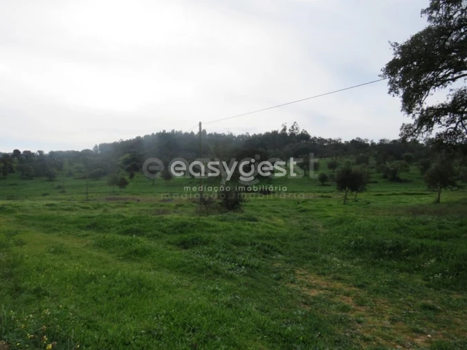 Quinta T10 para Venda em São Luis Foto 33