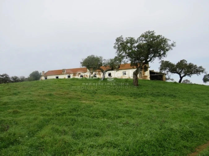 Quinta T10 para Venda em São Luis Foto 36