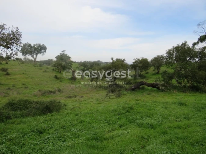 Quinta T10 para Venda em São Luis Foto 38