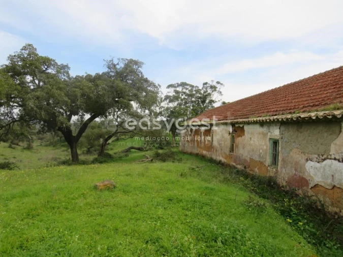 Quinta T10 para Venda em São Luis Foto 39